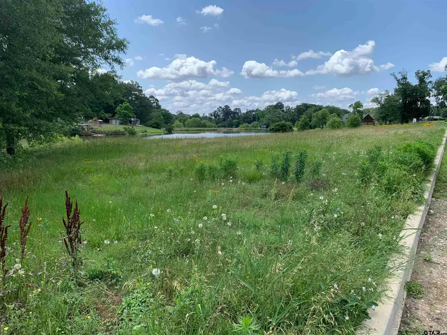 Williams Lake Rd, Tyler, TX 75704 - #2
