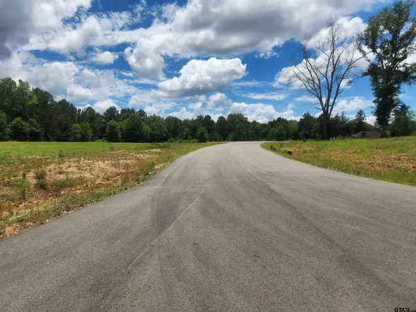 20021 Dews Ct, Troup, TX 75789
