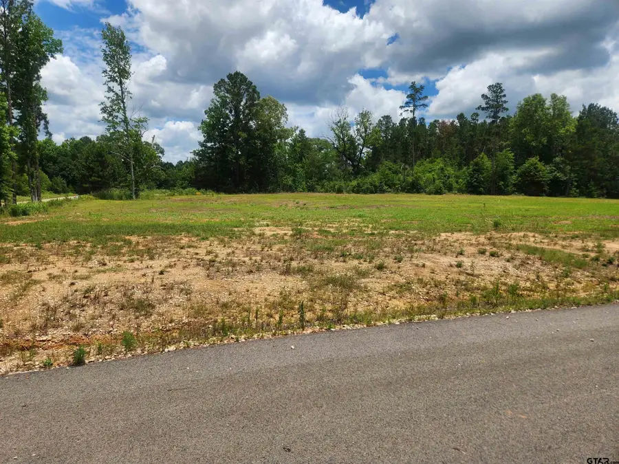 20021 Dews Ct, Troup, TX 75789 - #2