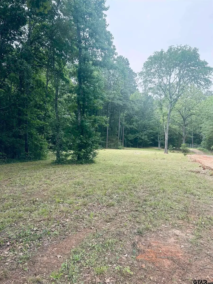 TBD Brandon St, Troup, TX 75789 - #2