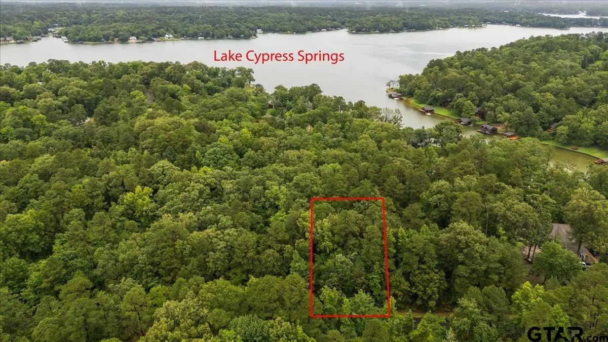 Lot 236 Canadian, Scroggins, TX 75480 - #1