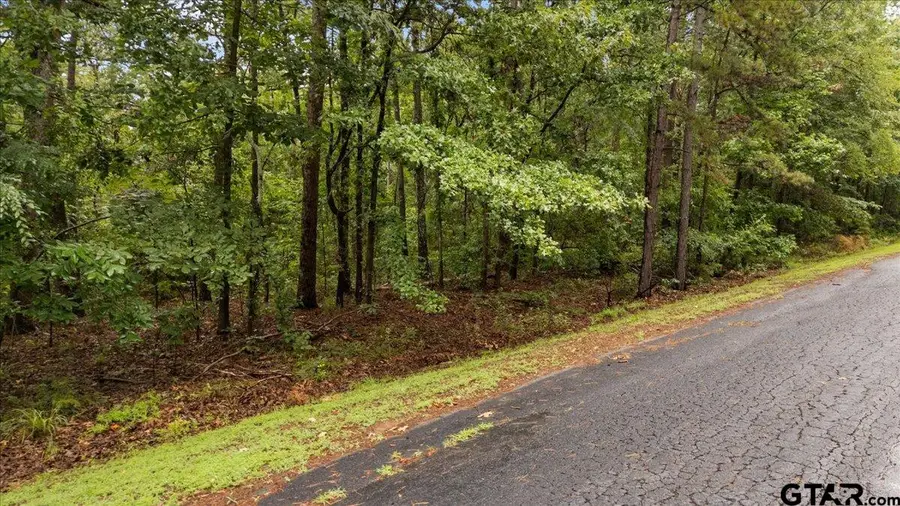 Lot 236 Canadian, Scroggins, TX 75480 - #2
