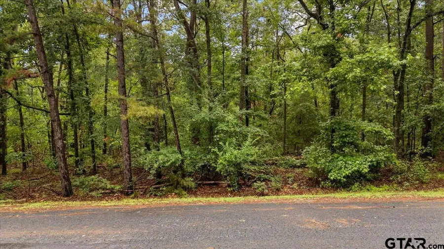 Lot 236 Canadian, Scroggins, TX 75480 - #3