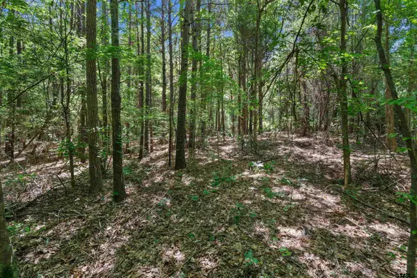 TBD CR 3361 (Tract # D), DeBerry, TX 75639