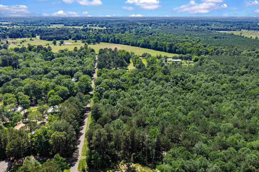 TBD CR 3361 (Tract # D), De Berry, TX 75639 - #2