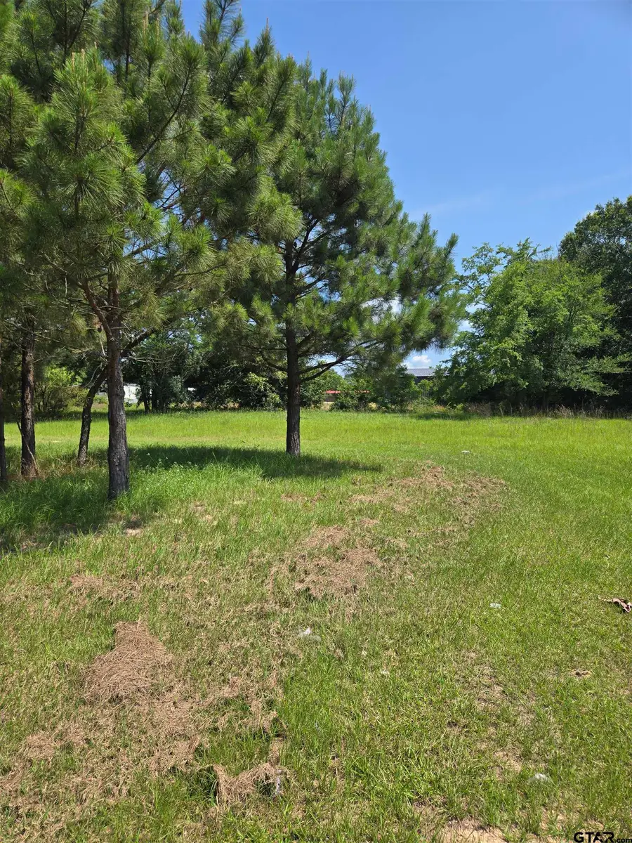 TBD CR 485, Tyler, TX 75706 - #3