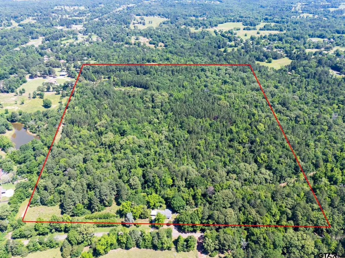 1085 PYEATT RD, Gladewater, TX 75647 - #1