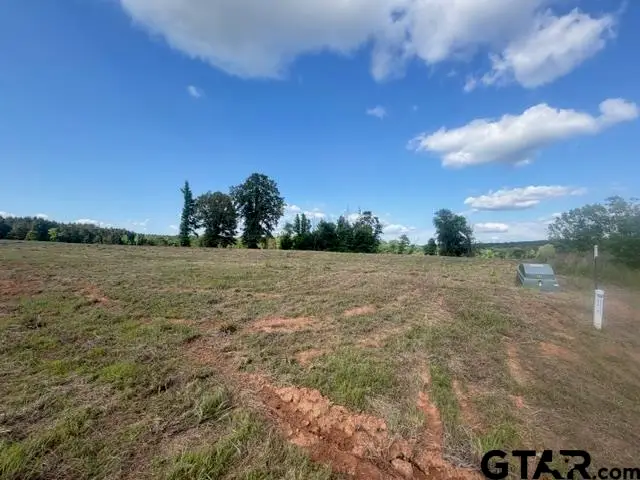 TBD Lot 5 Falcon View, Diana, TX 75640 - #2