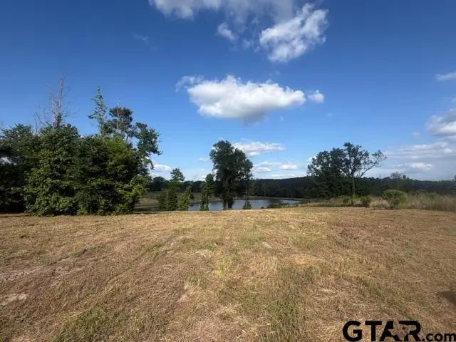 TBD Lot 5 Falcon View, Diana, TX 75640 - #3