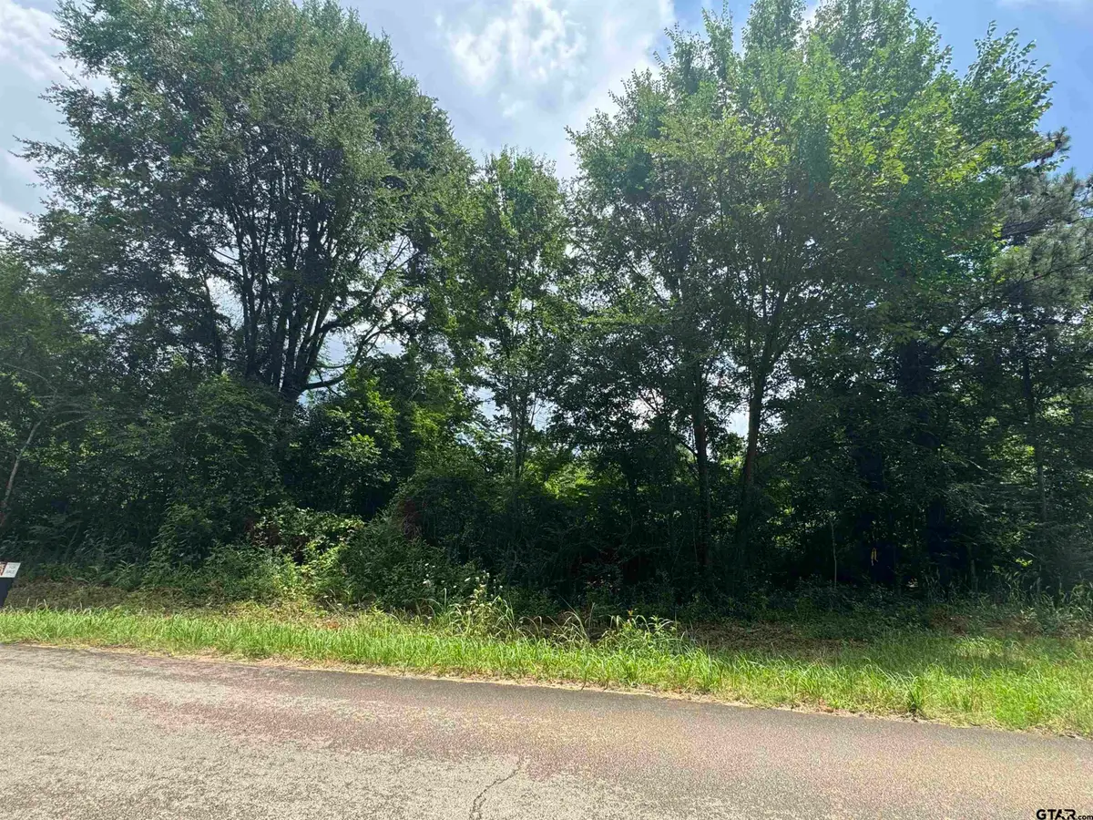 401 S Main Street, Arp, TX 75750 - #1
