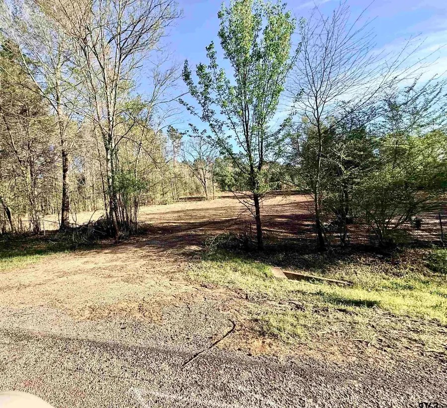 19874 FM 345 Lot 1, Arp, TX 75750 - #3
