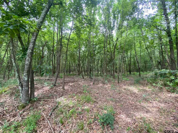Lot 10 & 11 CR 3920, Mt Pleasant, TX 75455
