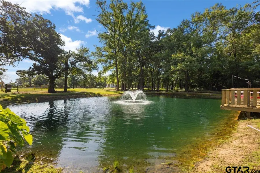 21089 County Road 2138, Troup, TX 75789 - #3