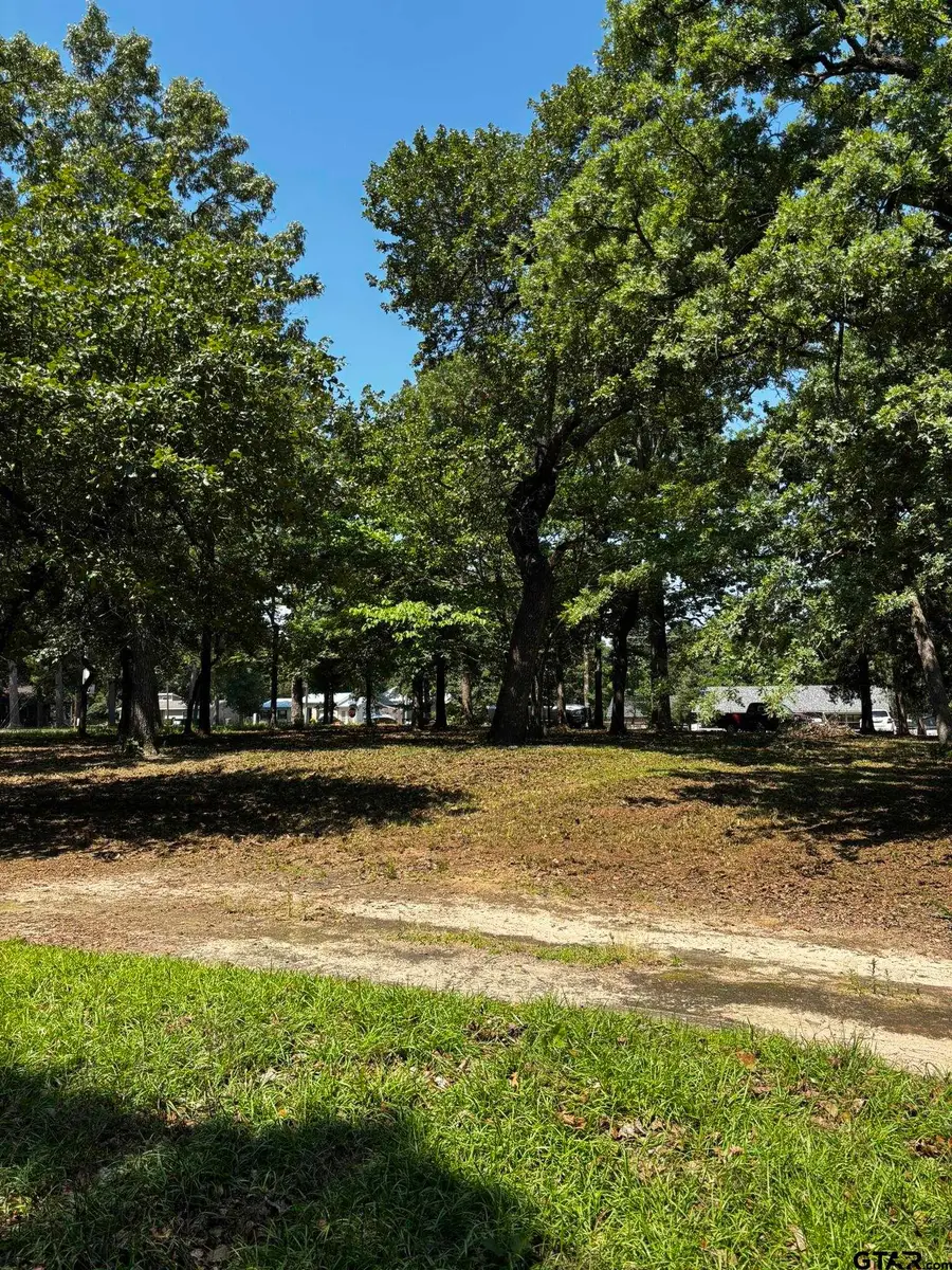 21047 Virginia Rd, Flint, TX 75762 - #2