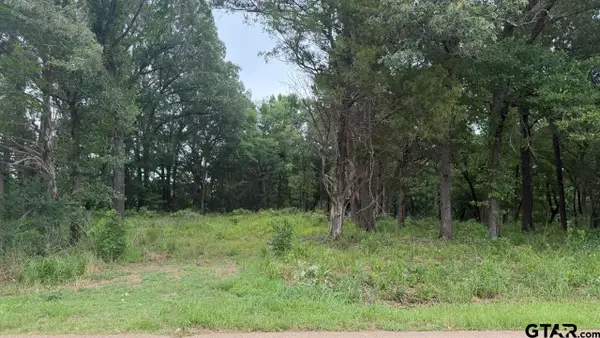 13676 County Road 420, Tyler, TX 75704