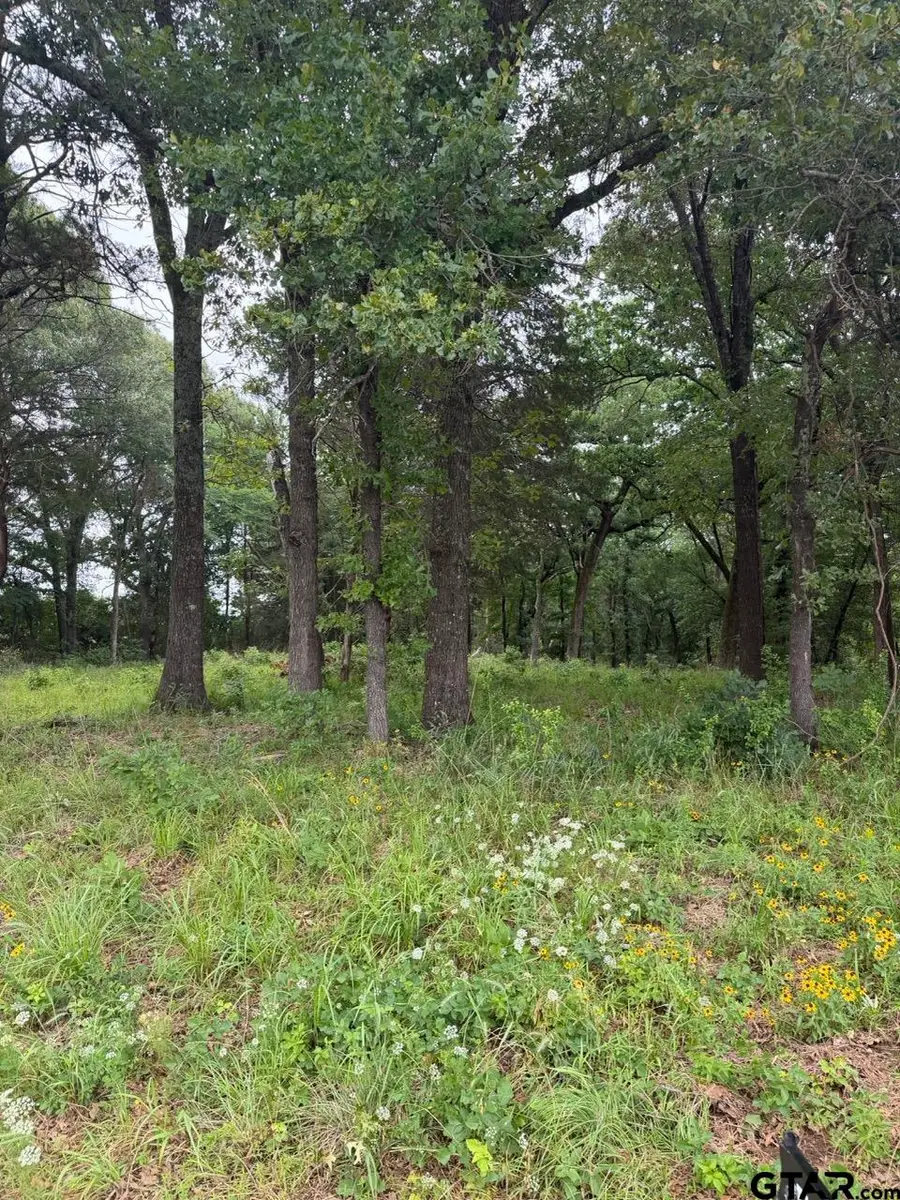 13676 County Road 420, Tyler, TX 75704 - #2