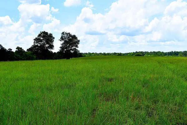 8034 CR 212, Buffalo, TX 75831