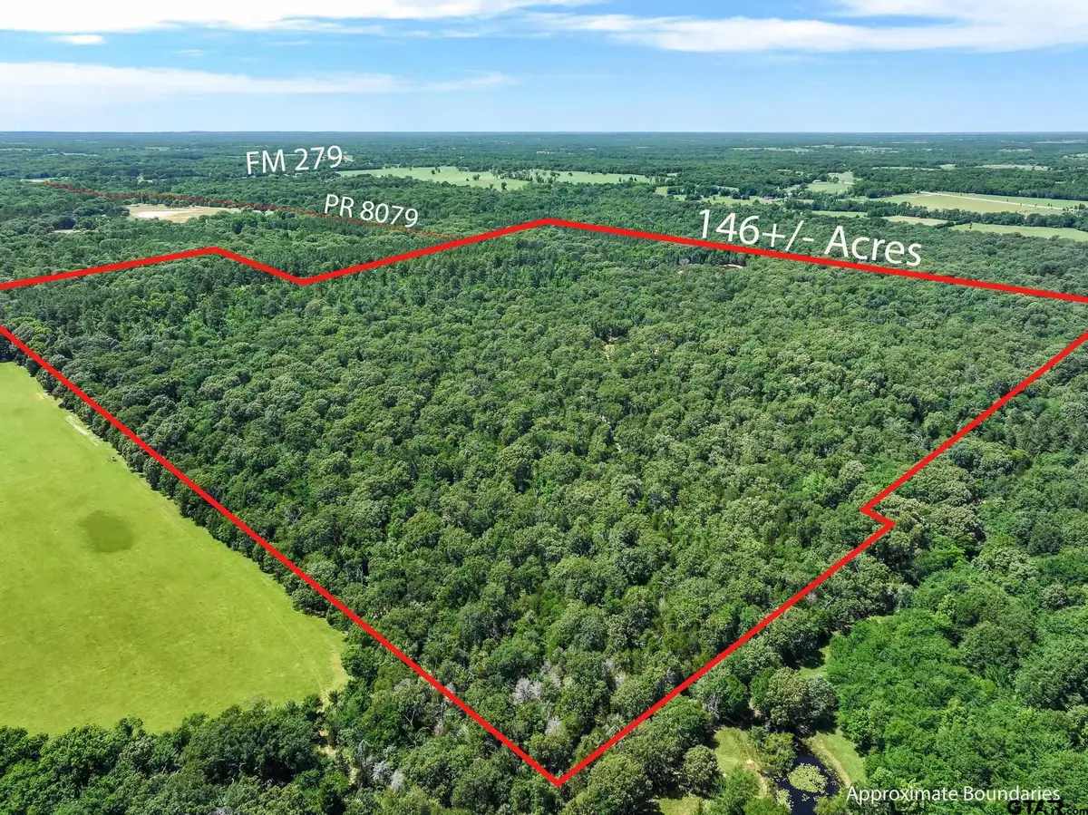 TBD Pvt. Rd 8079, Ben Wheeler, TX 75754 - #1
