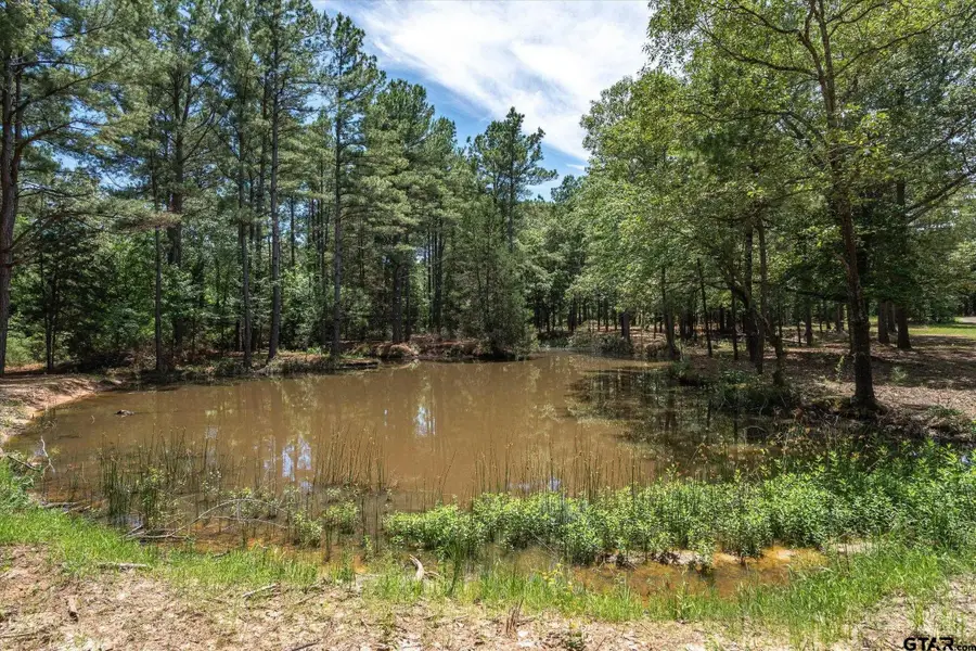 TBD Pvt. Rd 8079, Ben Wheeler, TX 75754 - #3