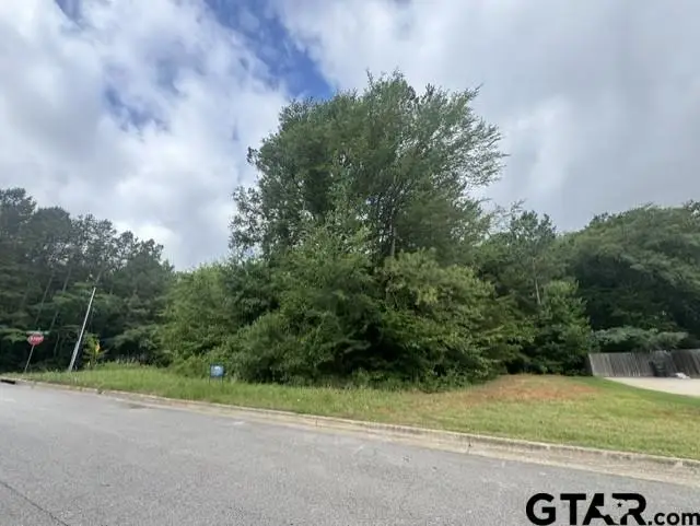 9469 Cherokee Trail, Tyler, TX 75703 - #3