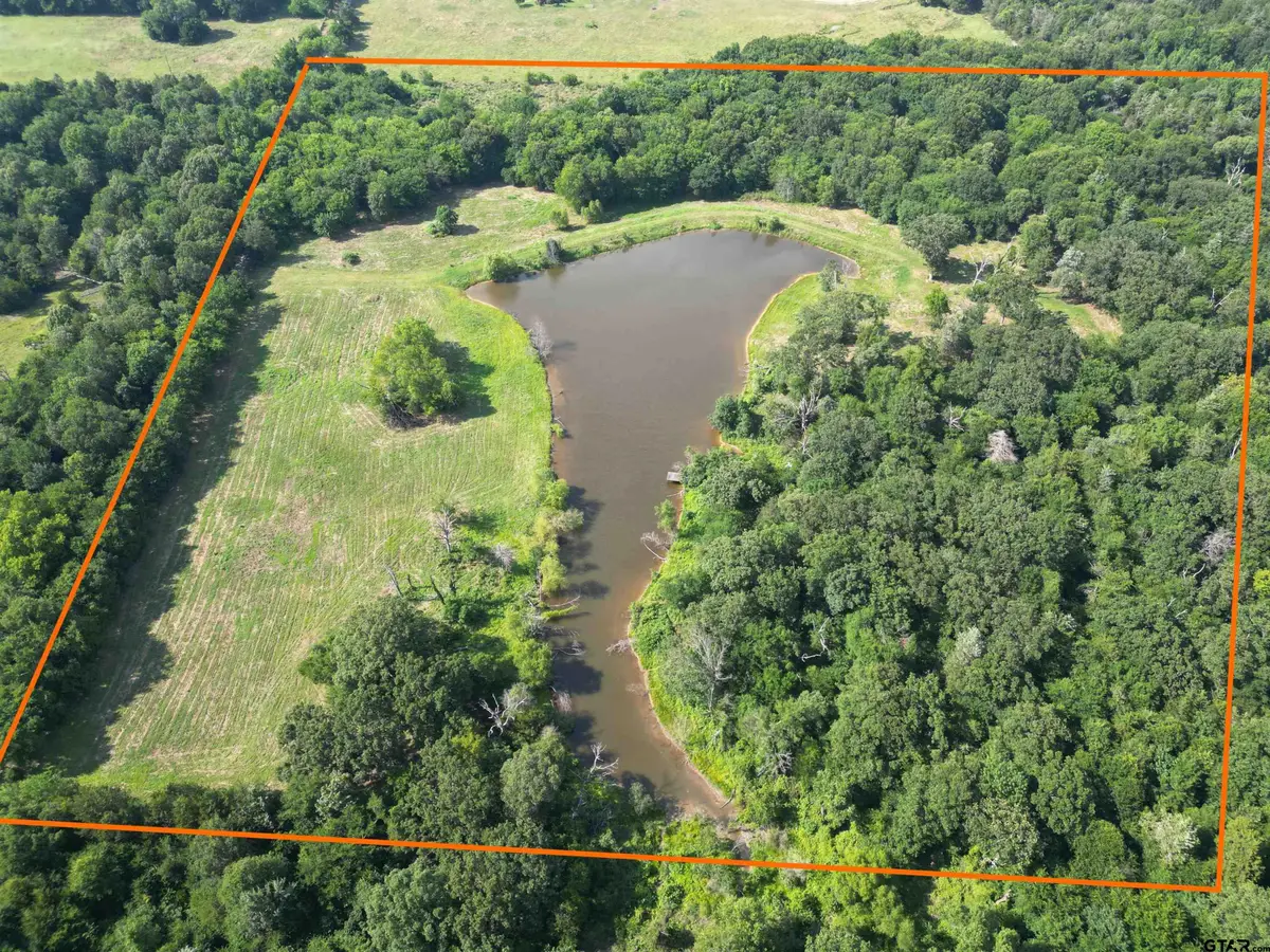 TBD CR 3371, Saltillo, TX 75478 - #1
