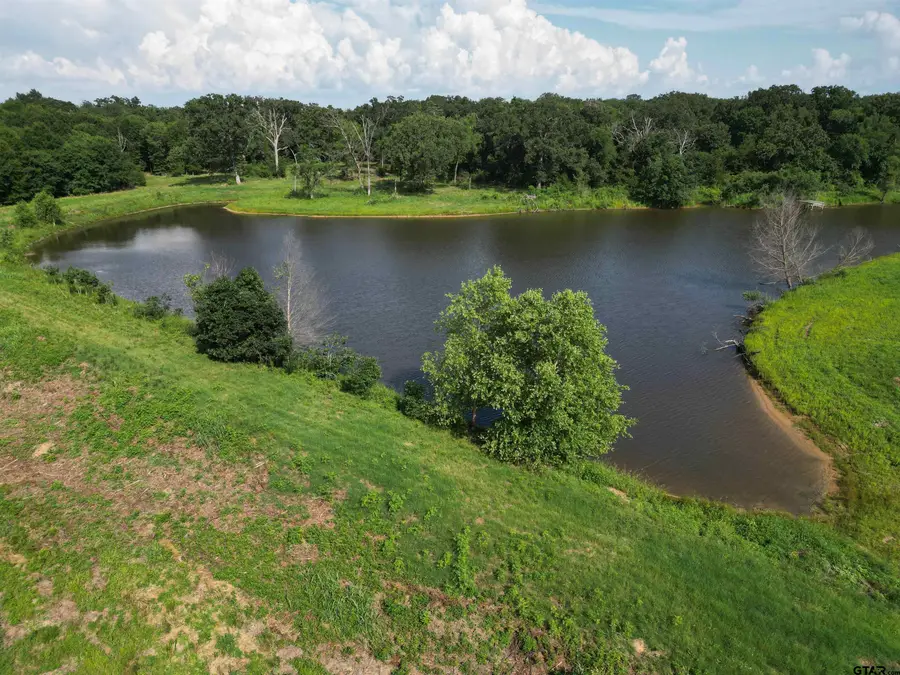 TBD CR 3371, Saltillo, TX 75478 - #2