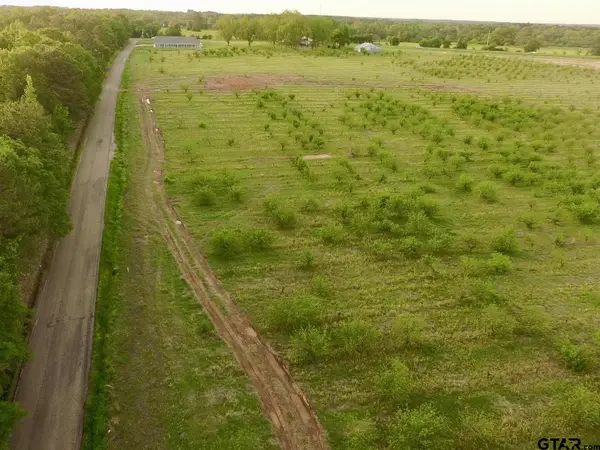 Lot 10 County Road 4230, Pittsburg, TX 75686