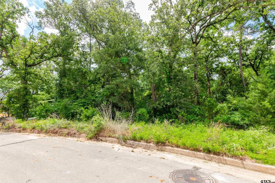 2528 Barrett Ct, Tyler, TX 75703 - #2