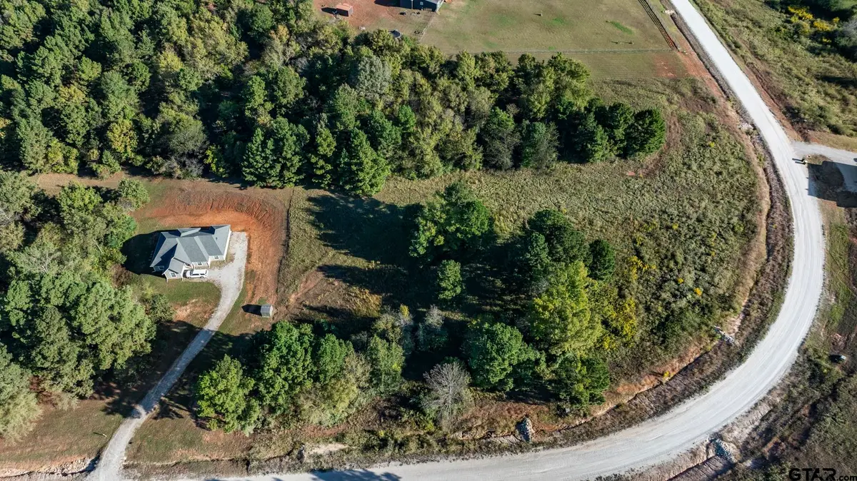 17218 Stella Maris St., Winona, TX 75792 - #1