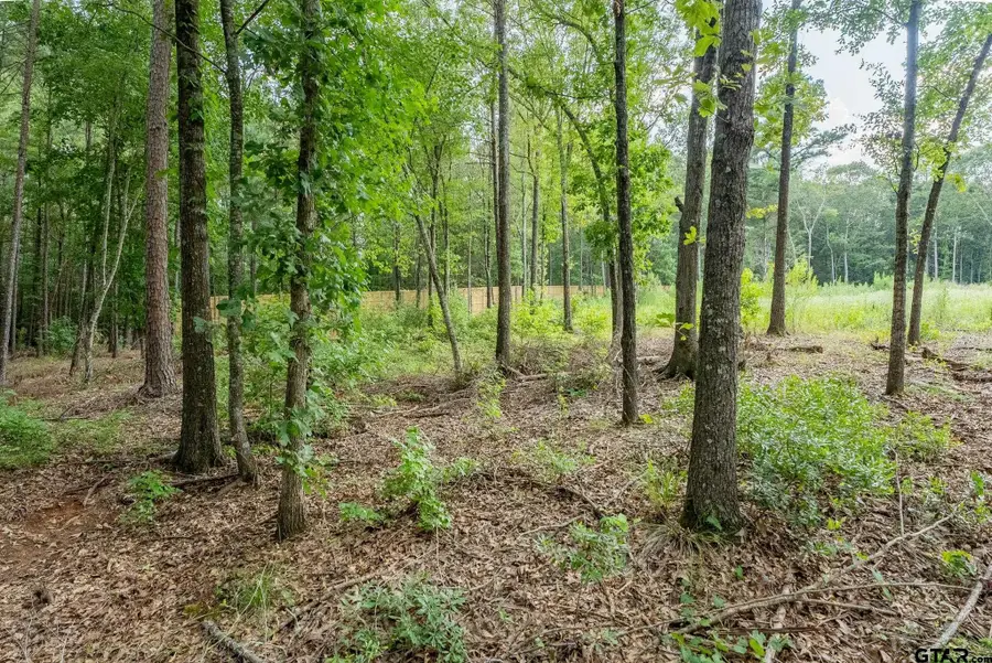 9299 Caddo Ridge Cv, Tyler, TX 75703 - #3