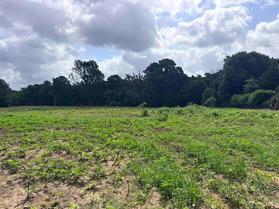 10268 N FM 607, Brownsboro, TX 75756 - #2