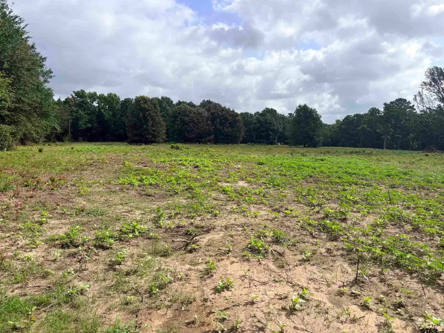 10268 N FM 607, Brownsboro, TX 75756 - #3