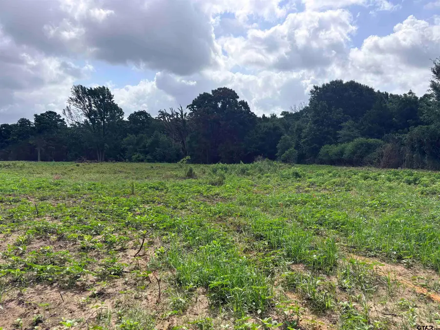 10268 N FM 607, Brownsboro, TX 75756 - #3