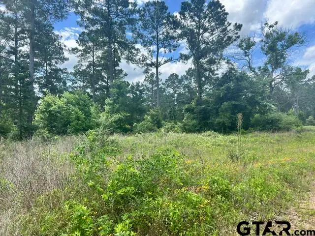 FM323, Palestine, TX 75801 - #2