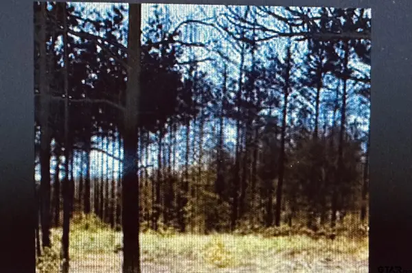 TBD County Road 4122, Overton, TX 75684