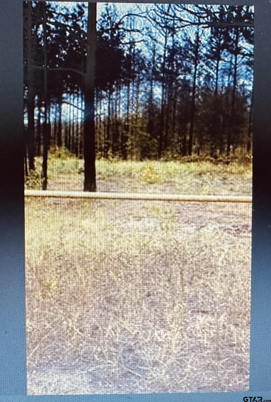 TBD County Road 4122, Overton, TX 75684 - #2