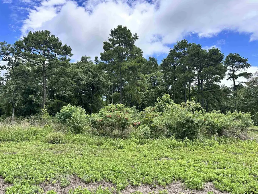 3156 Shadow Pine Dr., Larue, TX 75770 - #2