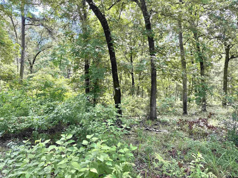 3156 Shadow Pine Dr., Larue, TX 75770 - #3