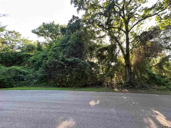 0 Lookout Lake Circle, Flint, TX 75762