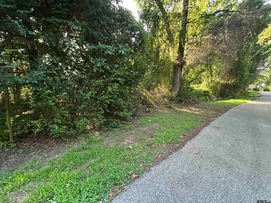 0 Lookout Lake Circle, Flint, TX 75762 - #2