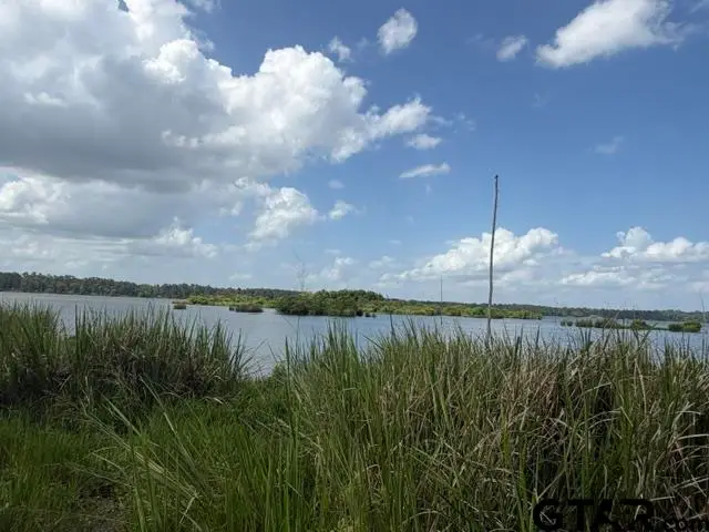 3196 Shadow Pine Dr, Larue, TX 75770 - #3