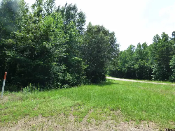 TBD Cactus Manor, Pittsburg, TX 75686