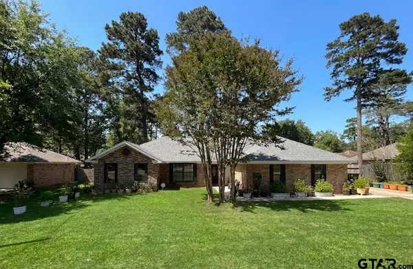 4392 Leaning Oaks Drive, Flint, TX 75762