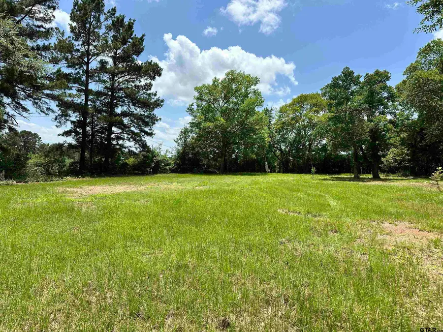 18866 CR 2154, Troup, TX 75789 - #3