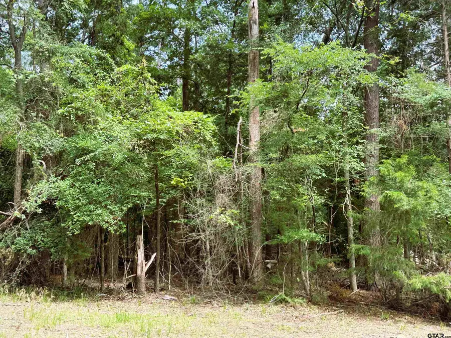 58 Cypress Creek Dr, Mount Vernon, TX 75457 - #2