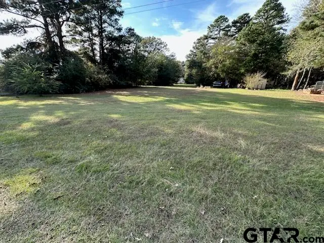1027 Woodhue Dr, Bullard, TX 75757 - #3
