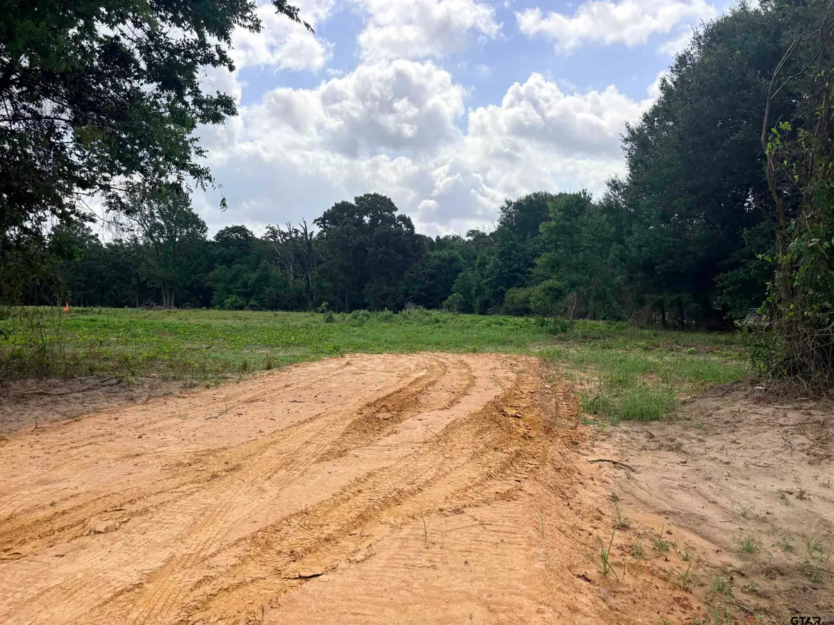 10268 N FM 607, Brownsboro, TX 75756 - #1