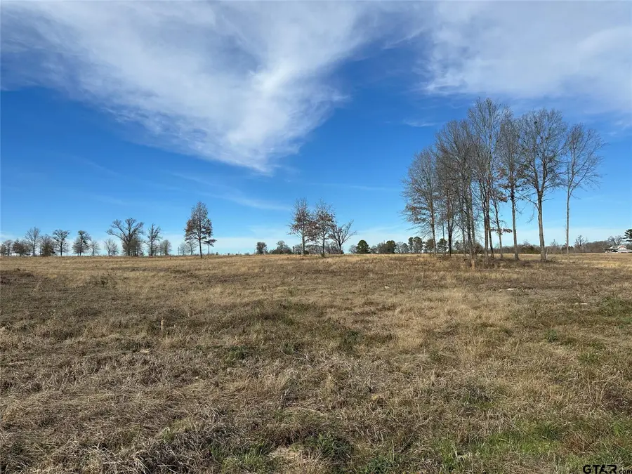 0000 County Road 2425, Como, TX 75431 - #3