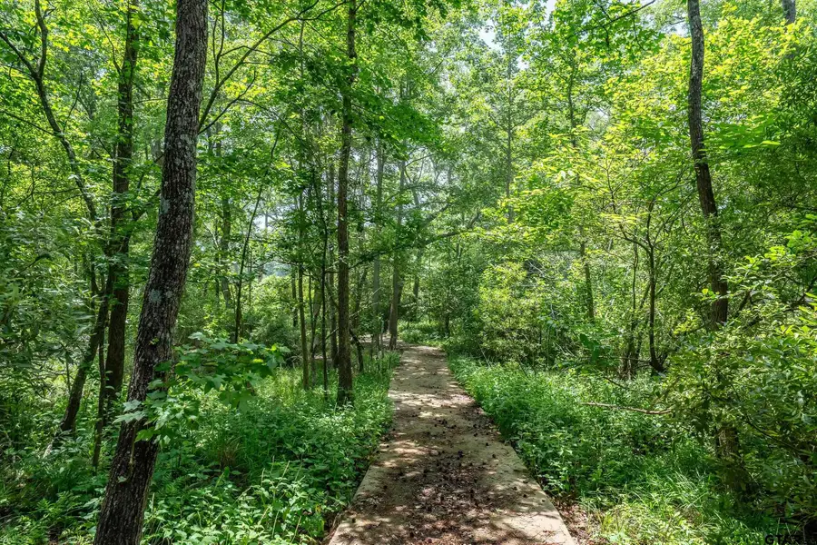TBD Holly Trail East, Holly Lake Ranch, TX 75765 - #3