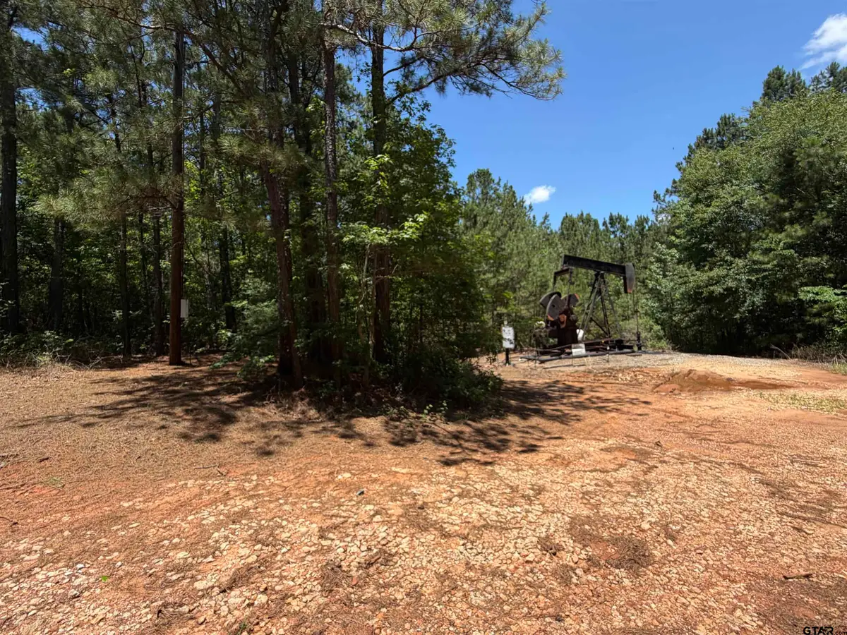 9018 Hwy 64, Overton, TX 75684 - #1